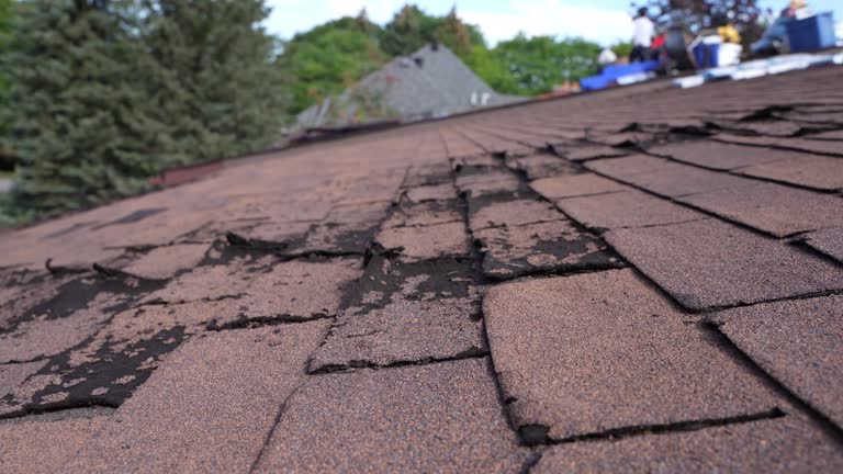 Fast & Reliable Emergency Roof Repairs in Sonterra, TX