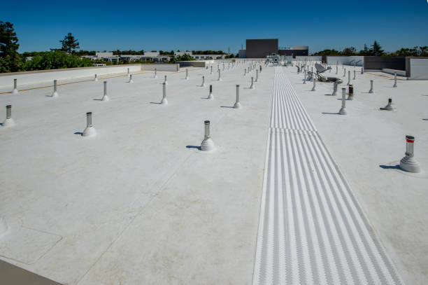 Best Asphalt Shingles Roofing  in Sonterra, TX